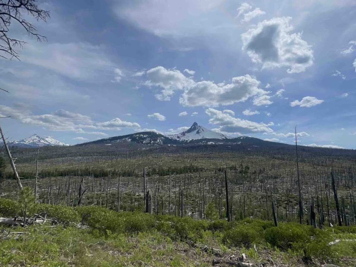 NF 1028550 trail photo