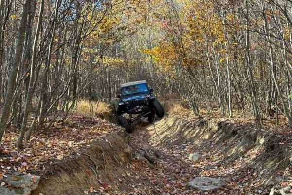 Trail 5