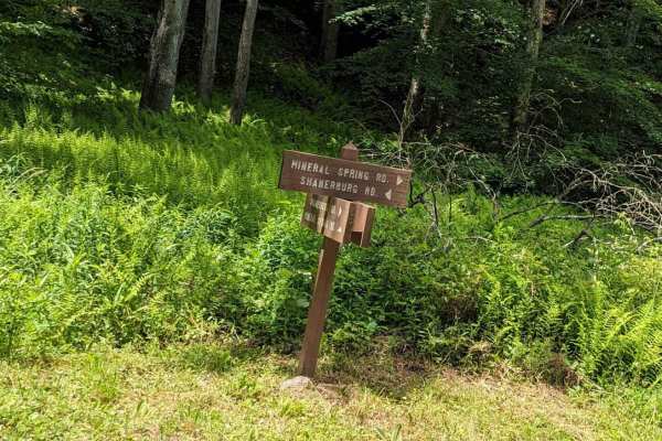 Mineral Spring Road