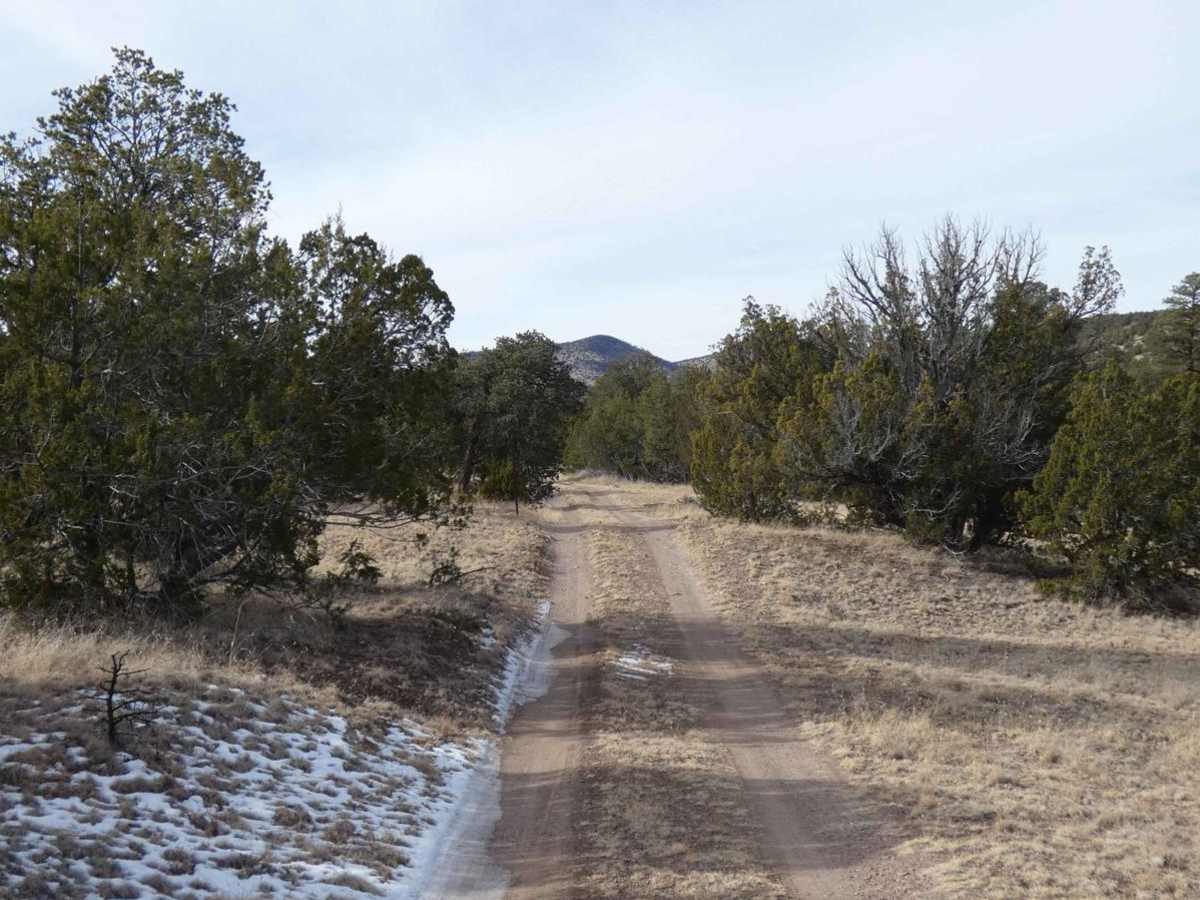 McGee Spring photo 5