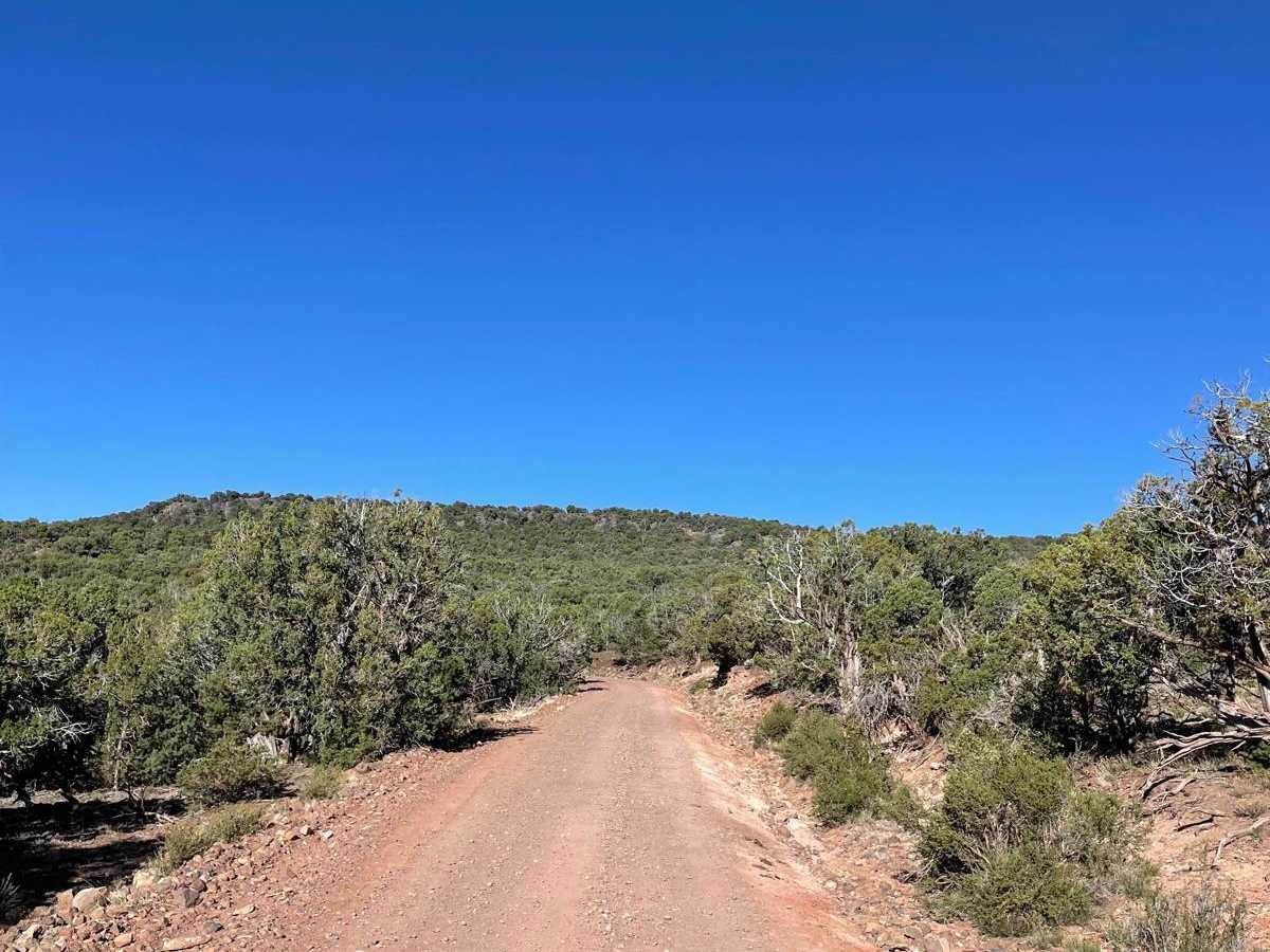 FS 125 to Kinnickinnick Lake Road photo 3