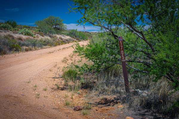 Rincon Tank Trail