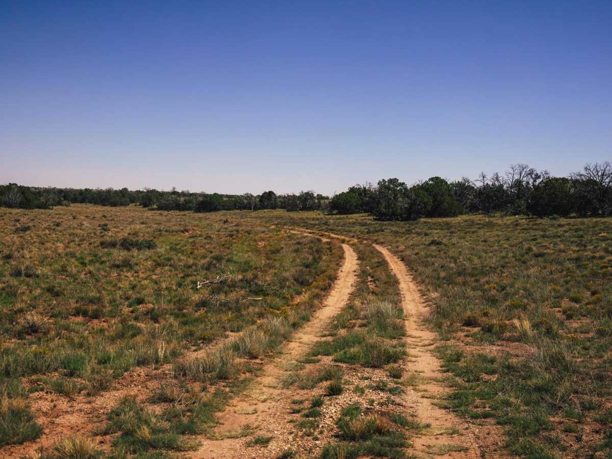 Buckhorn Canyon trail photo