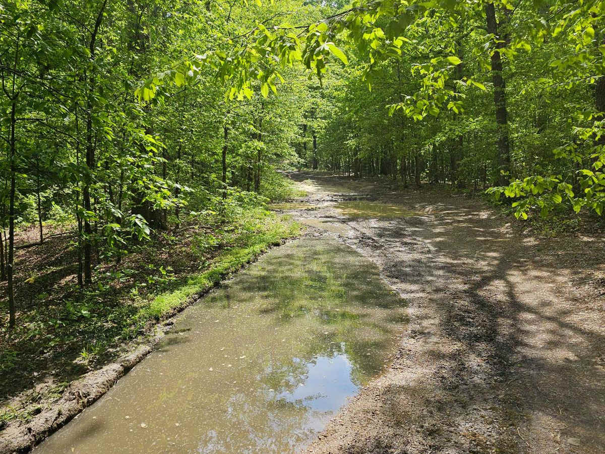 Forest Service Road 396 photo 2