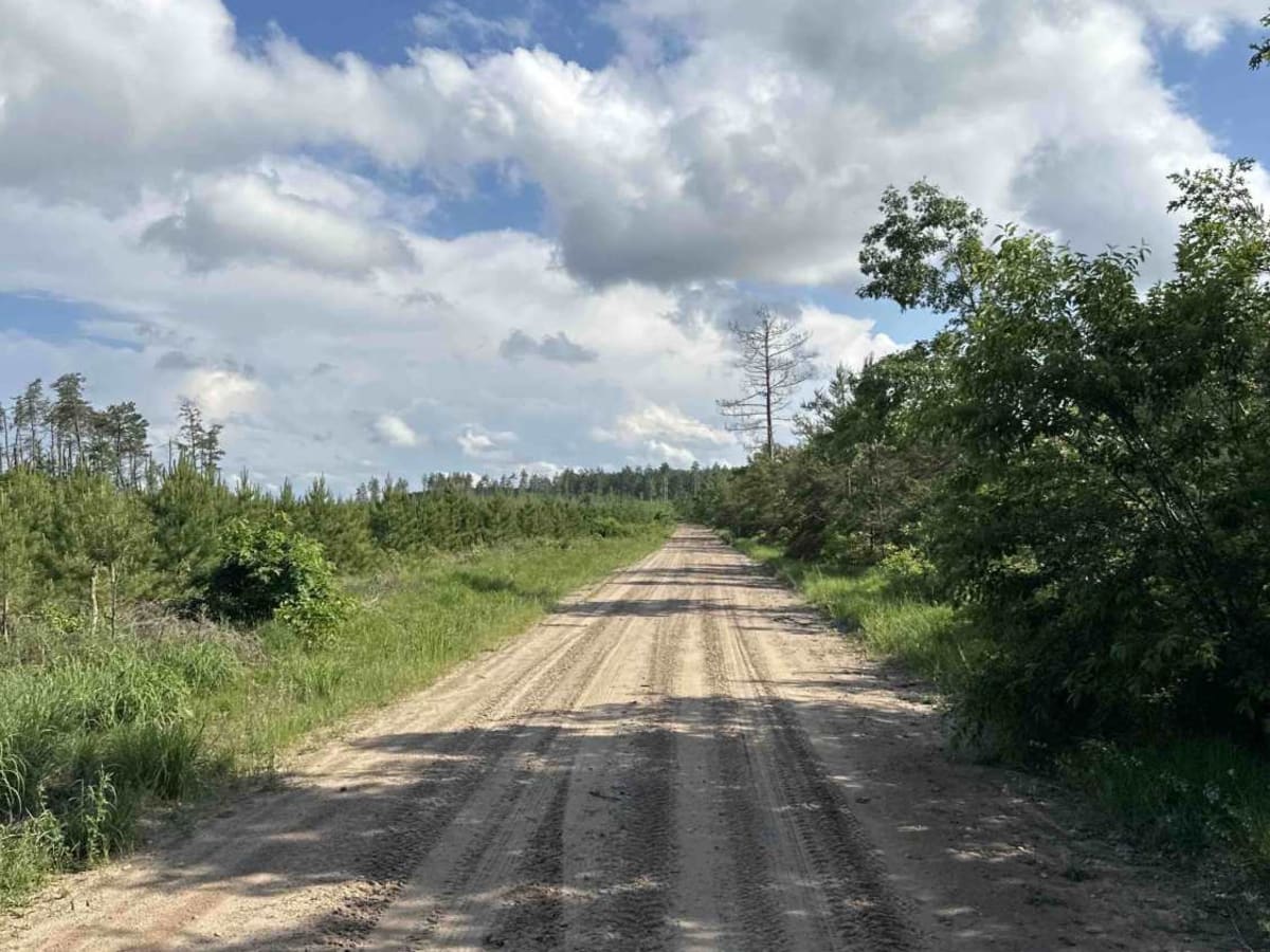 Elk Road photo 3