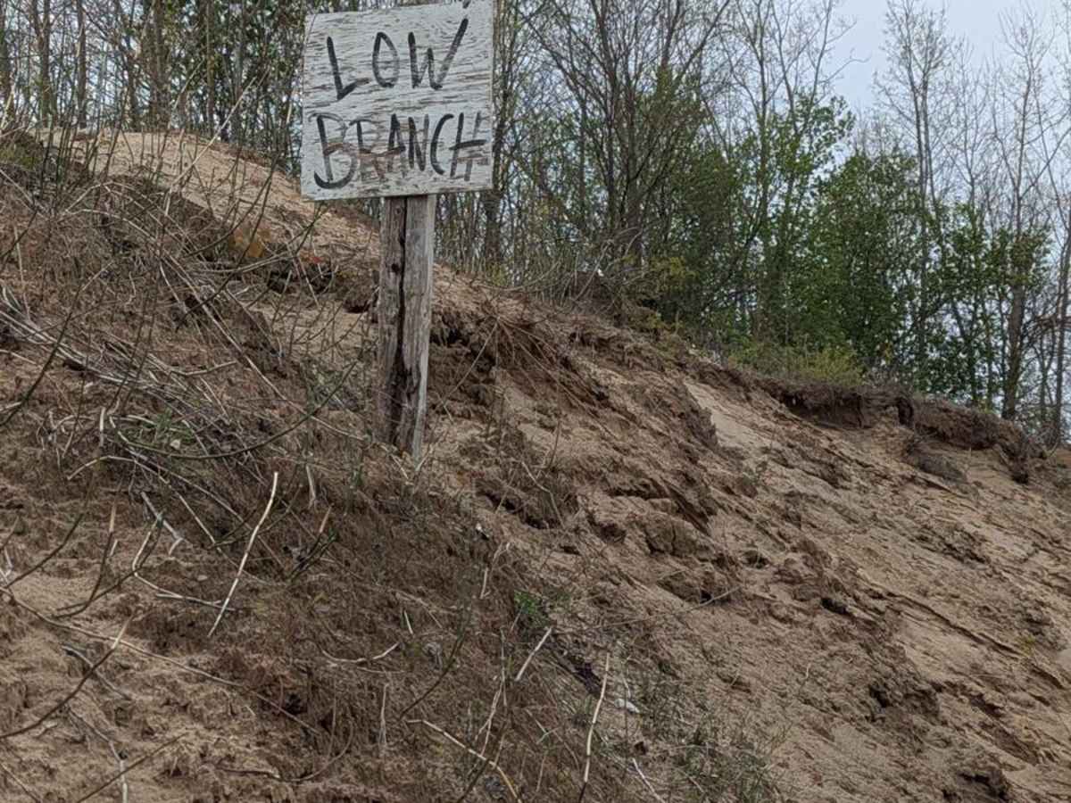Low Branch trail photo