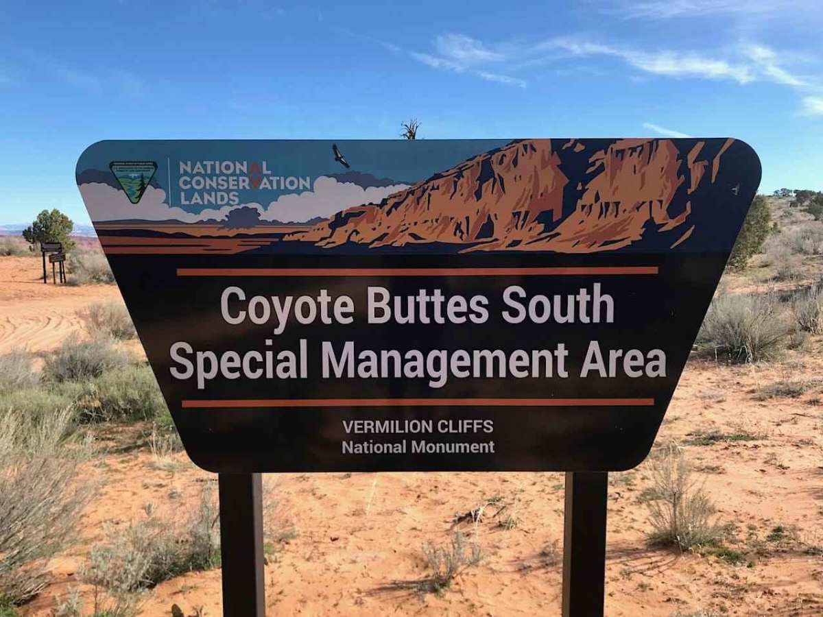 Cottonwood Cove-BLM1082 photo 4
