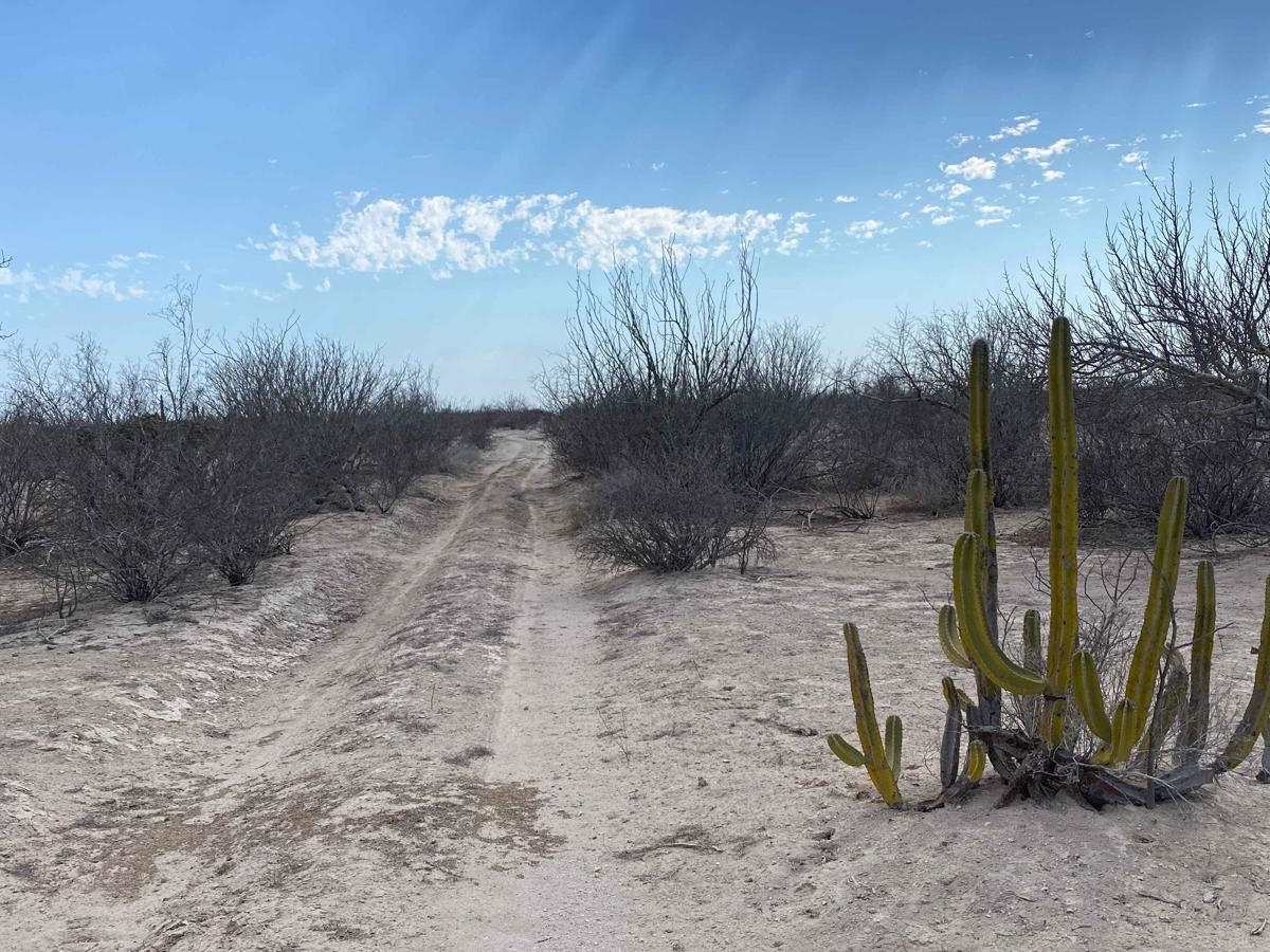 Puerto Chale Cutoff photo 4