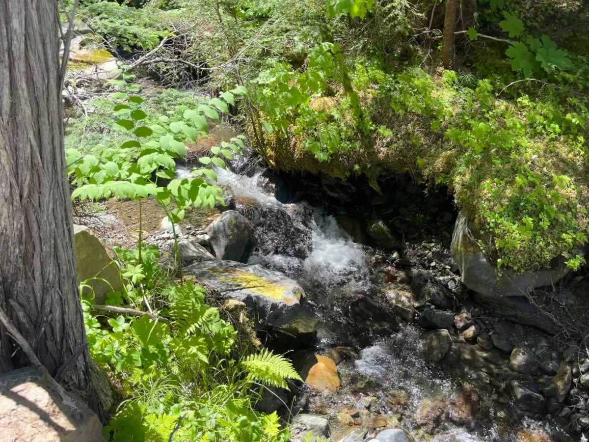 Crater Creek Road photo 6