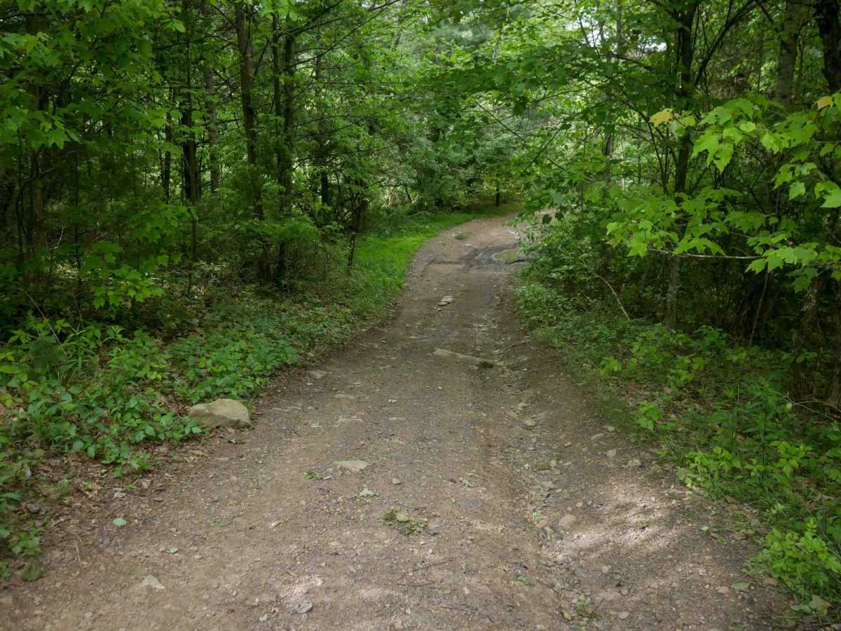 MV6 trail photo