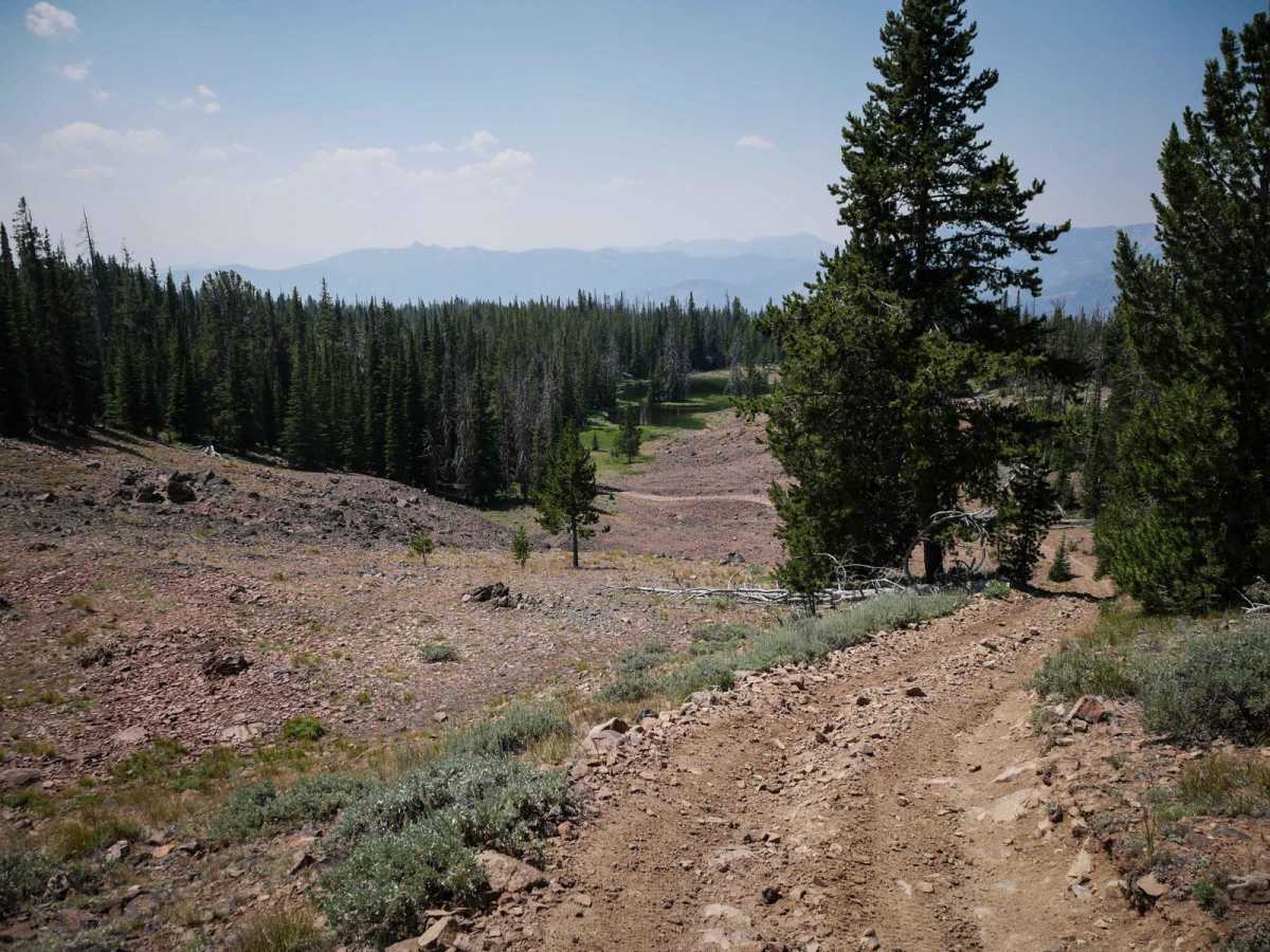 Beef Pasture ATV photo 6