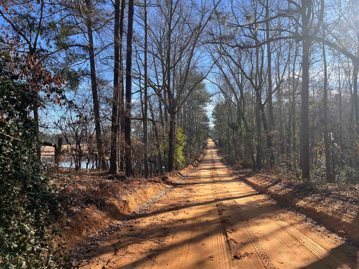 Fox Pond Road trail photo
