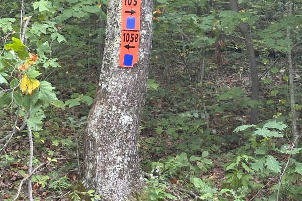 105B
