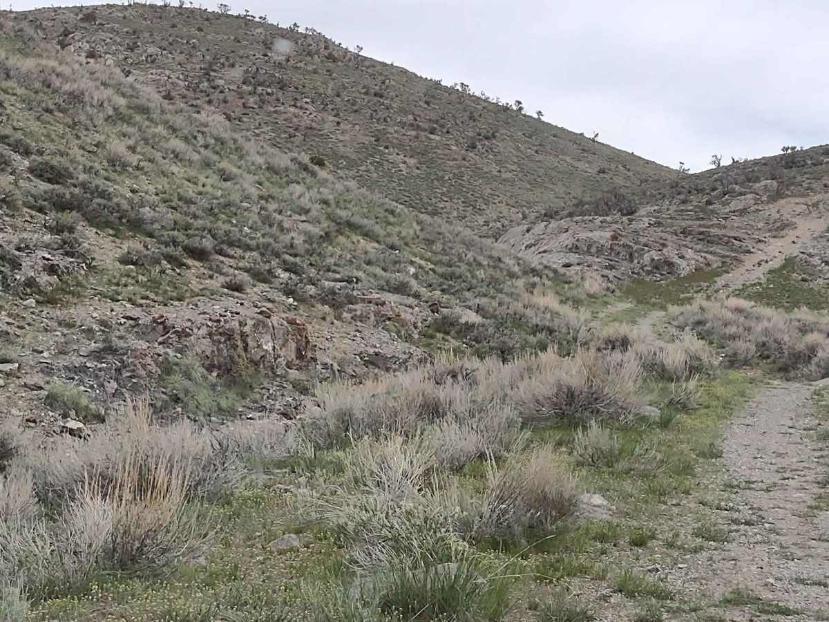 Appendicitis Hill Spur 2 photo 4