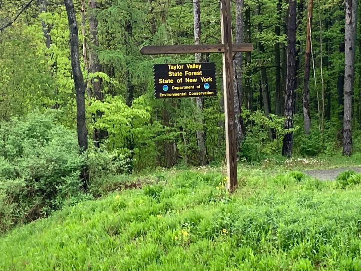 Taylor Valley State Forrest trail photo