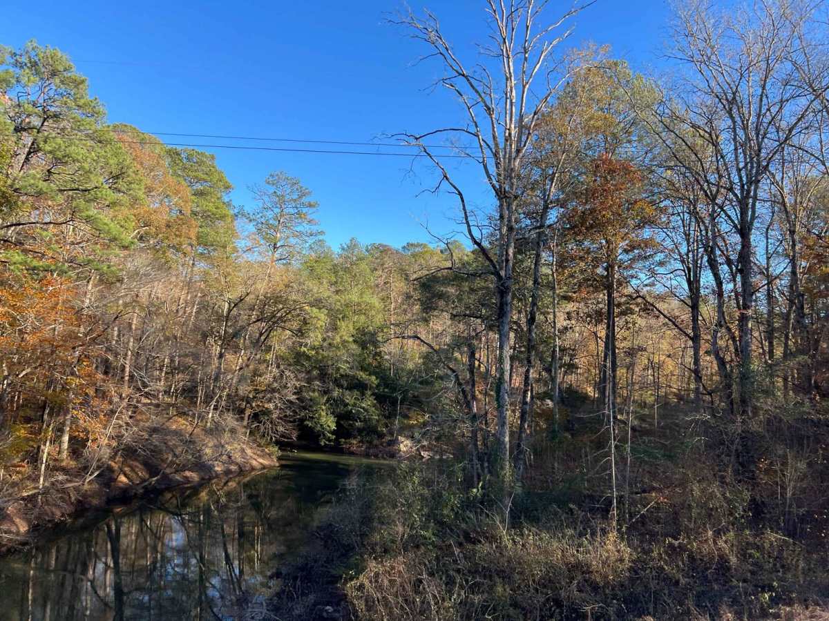 Clifty Fork Road - FS124 photo 5