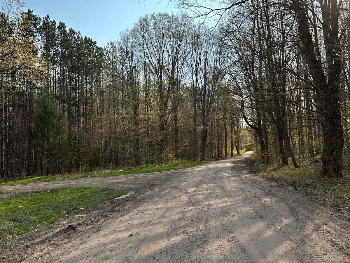 Cadillac Area ORV/OHV Scenic Ride - Part 5 photo 5