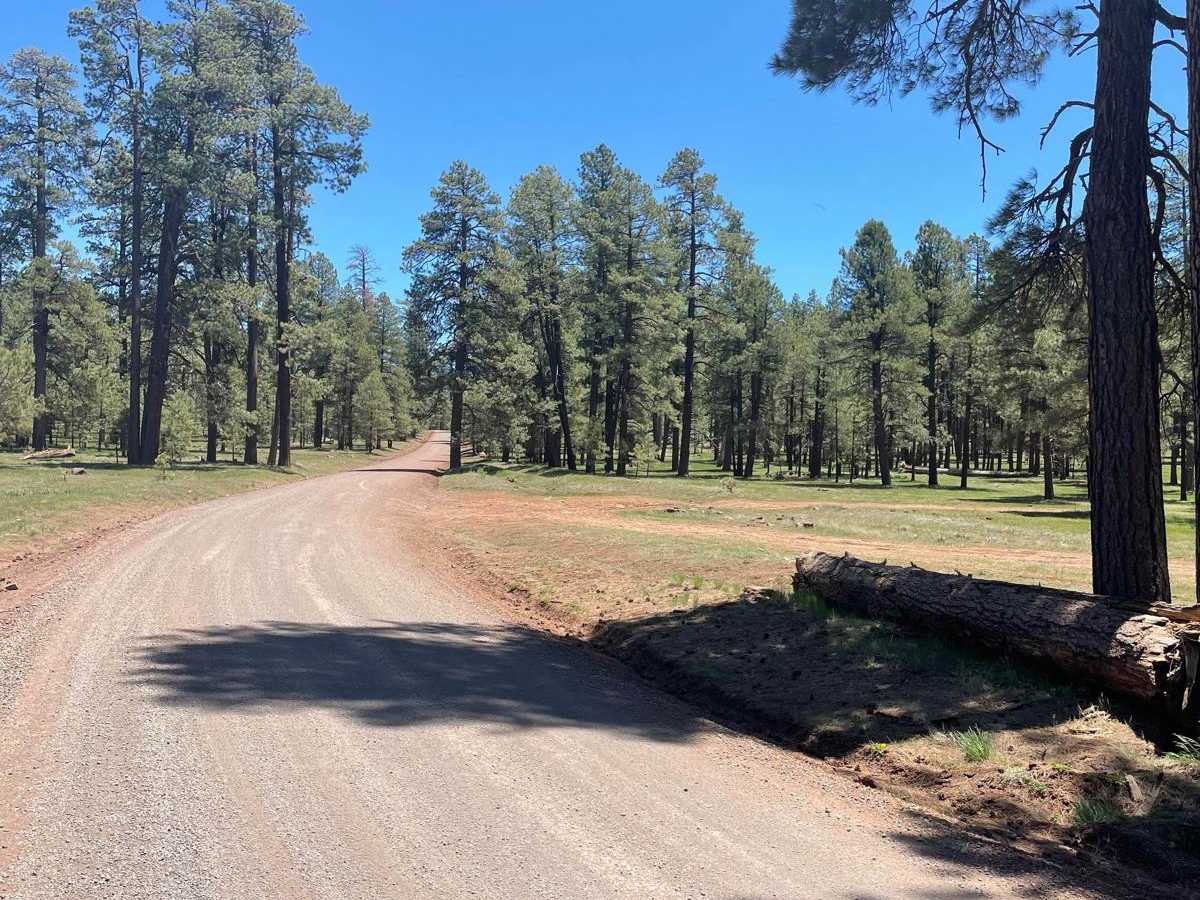 Stoneman Lake Road photo 5