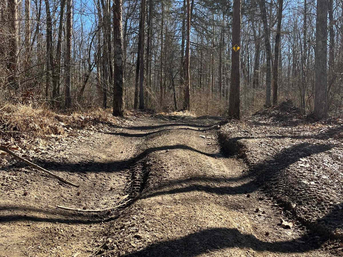 Amax Trail photo 3