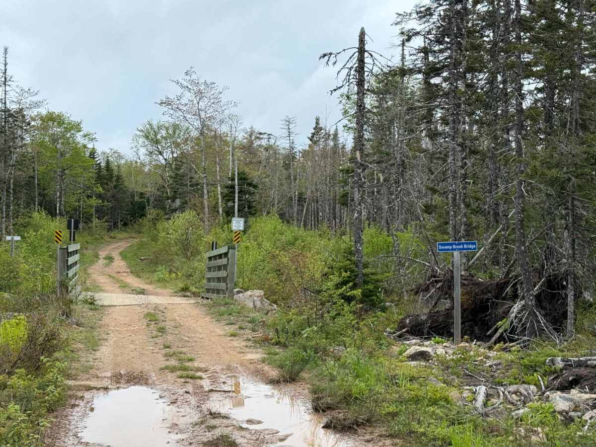 Gillanders Mountain Road West photo 5