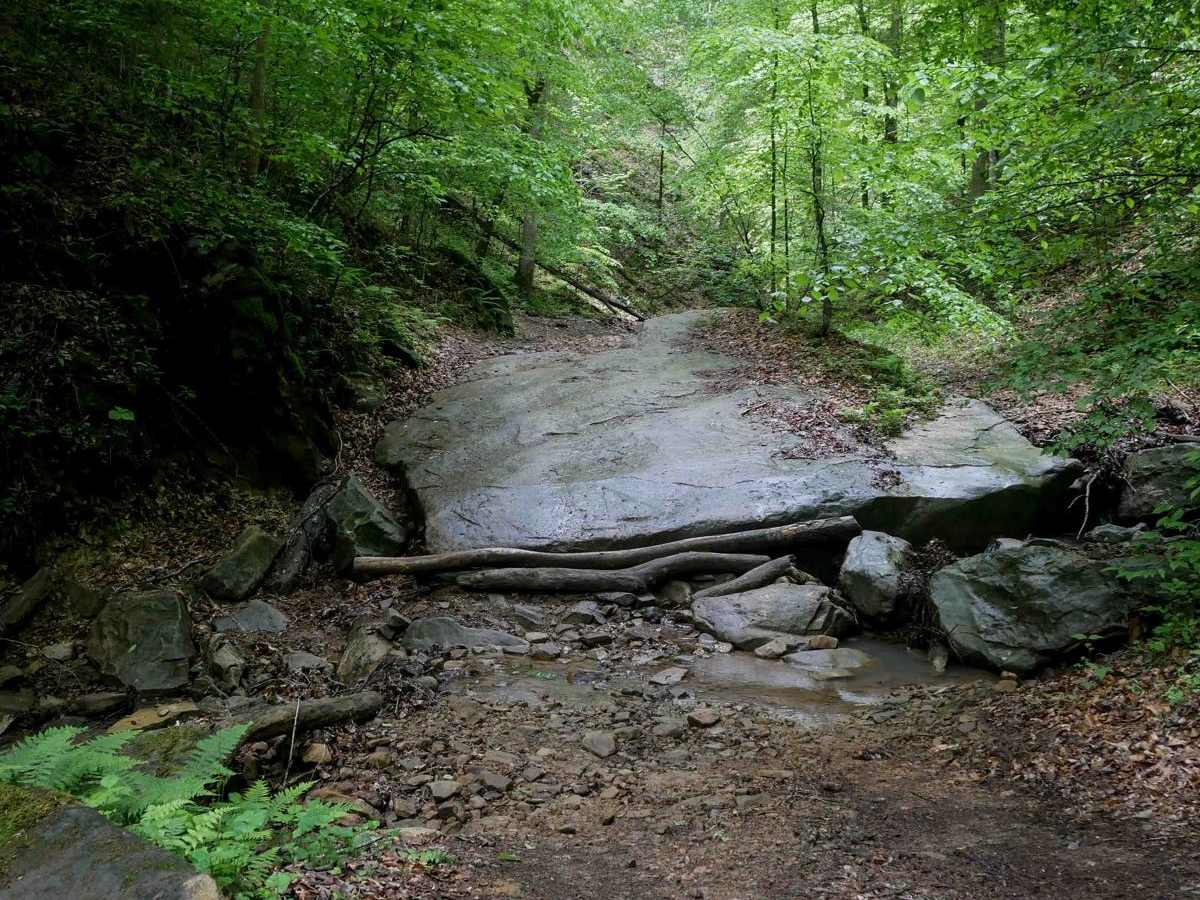 IB 73 trail photo