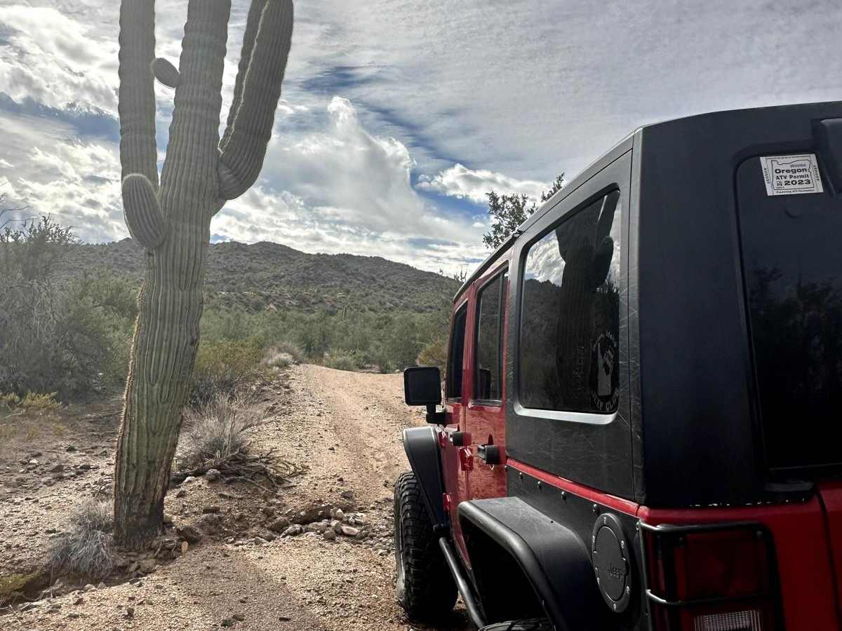 Gold Bug Mine Trail trail photo
