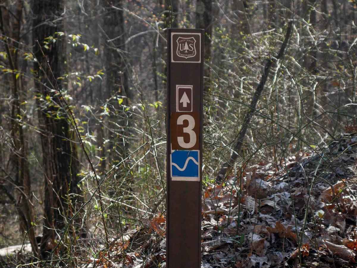 Black Mountain Trail 3 photo 6