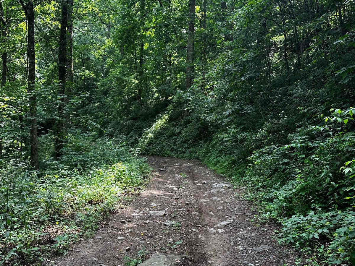 Horseshoe Ridge photo 2
