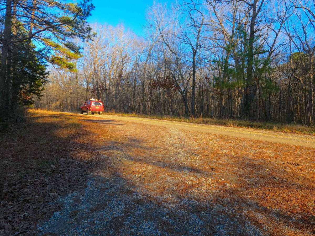 Duncan Bay Road - FS 132 photo 4