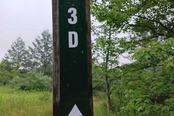 Trail 3D - Rock Run Recreation Area