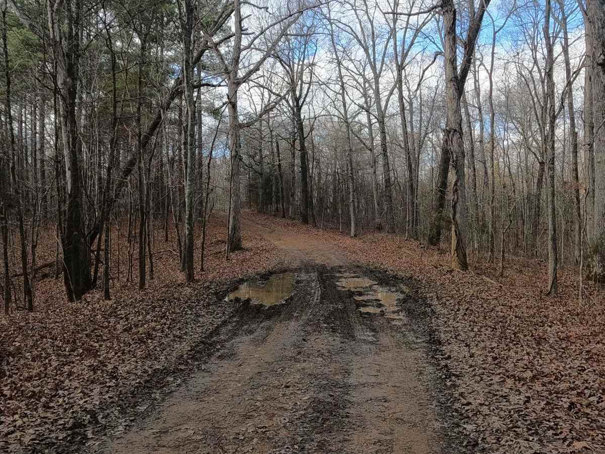 Bald Knob Road - FS 152 photo 6