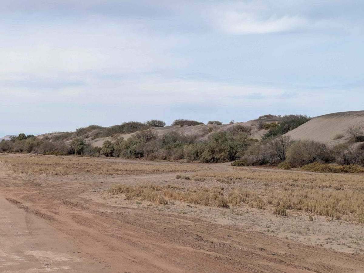 Dunas del Mogote West photo 4