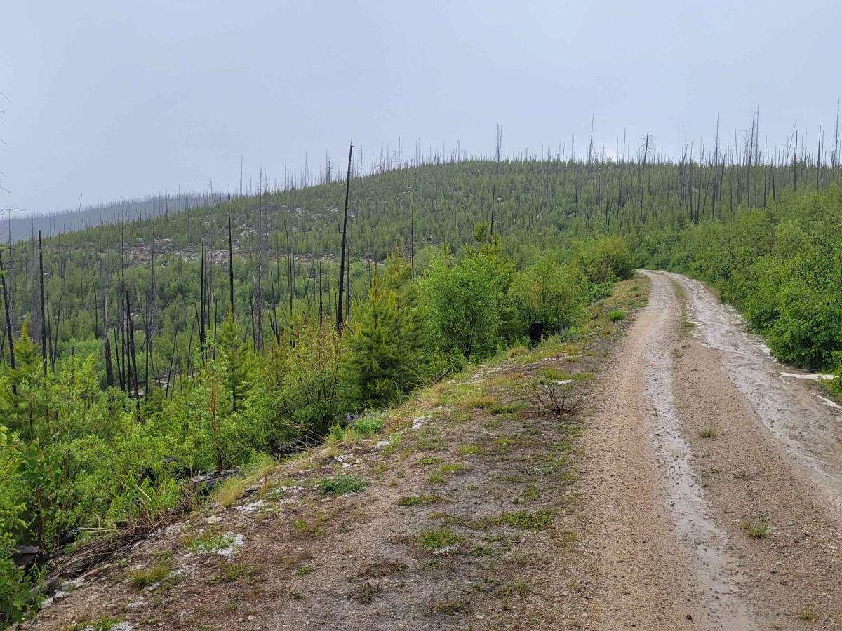 NF 4235 - Starvation Mountain photo 4