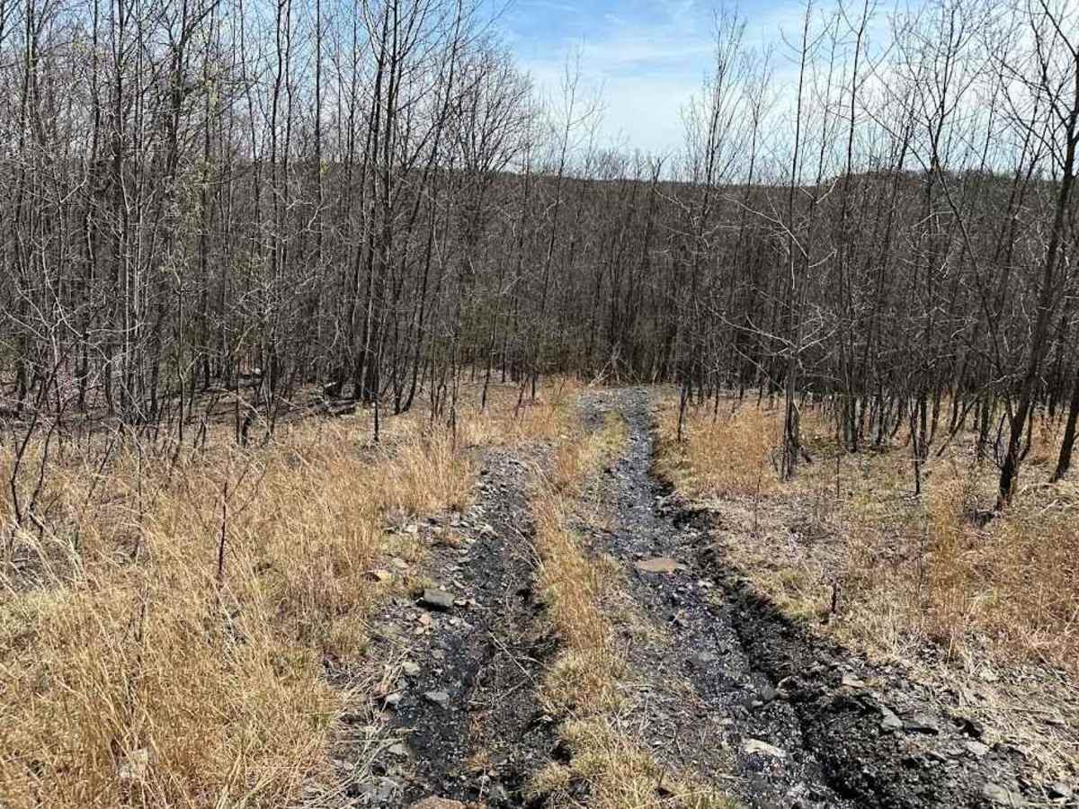 St. Keirns 83 trail photo