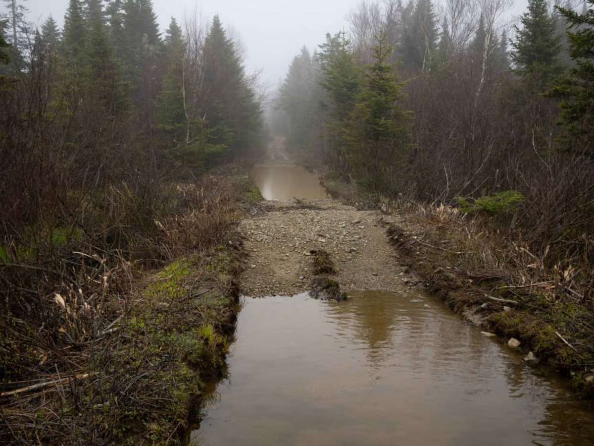 Crooked Creek Trail photo 3