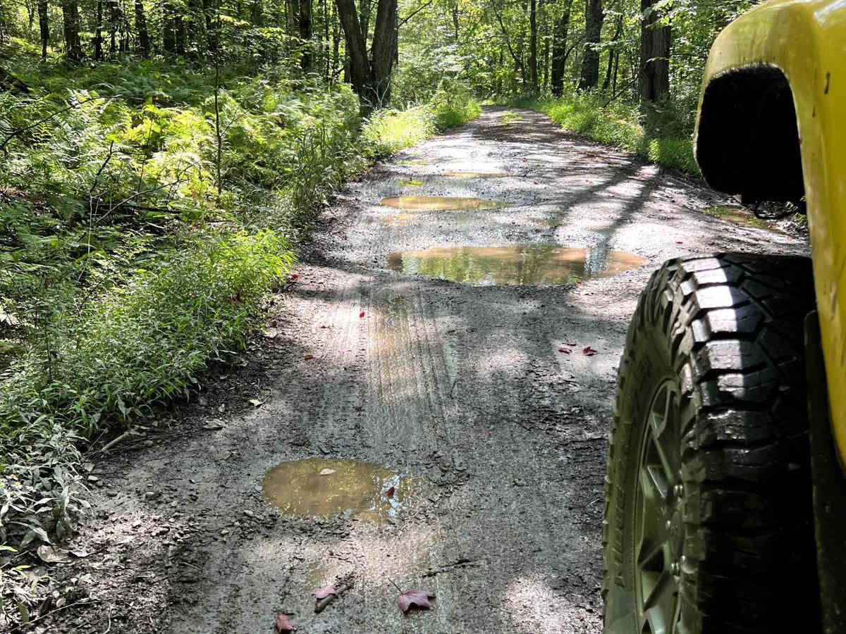 McIntyre Road photo 4