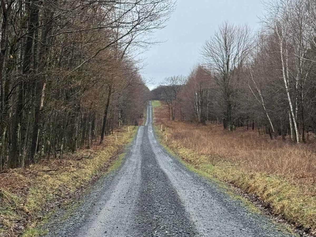 Yost Ridge Road photo 4