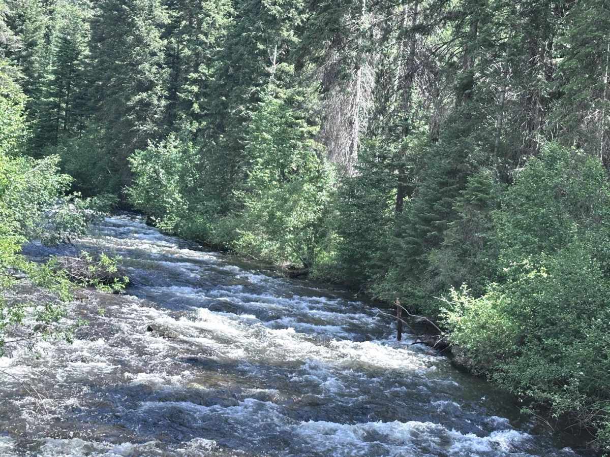 Goose Creek trail photo