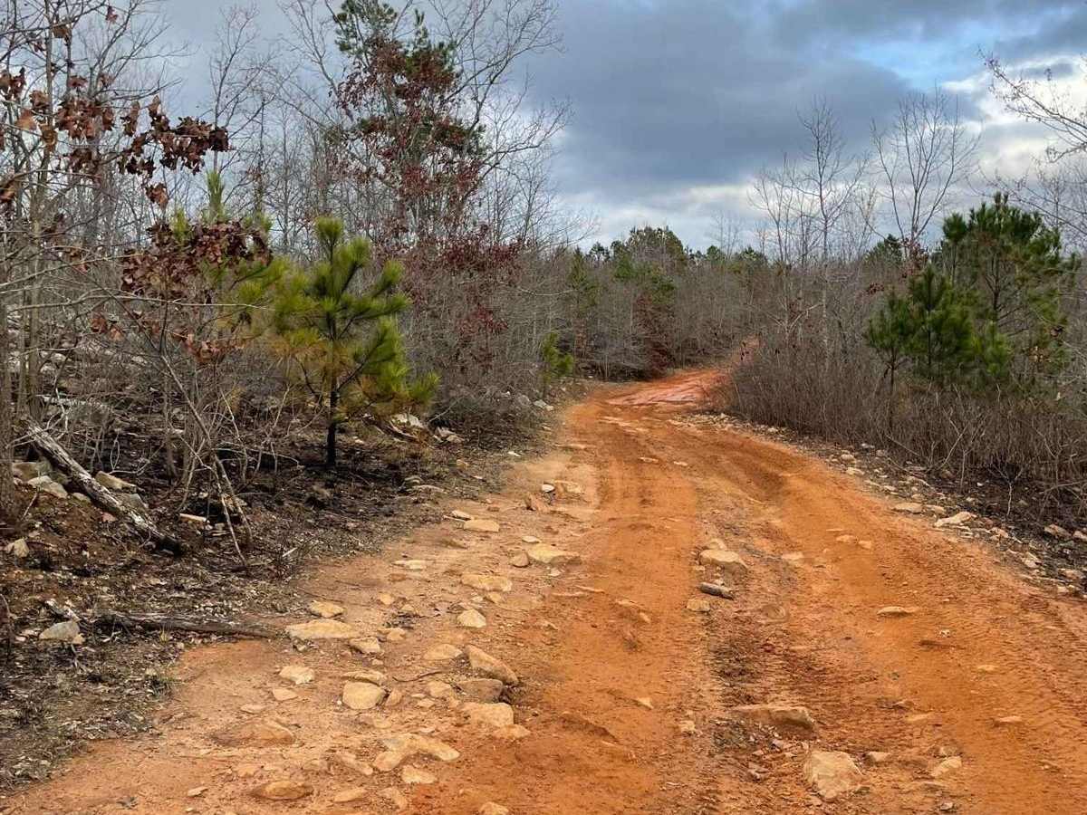 Trail 8 photo 2
