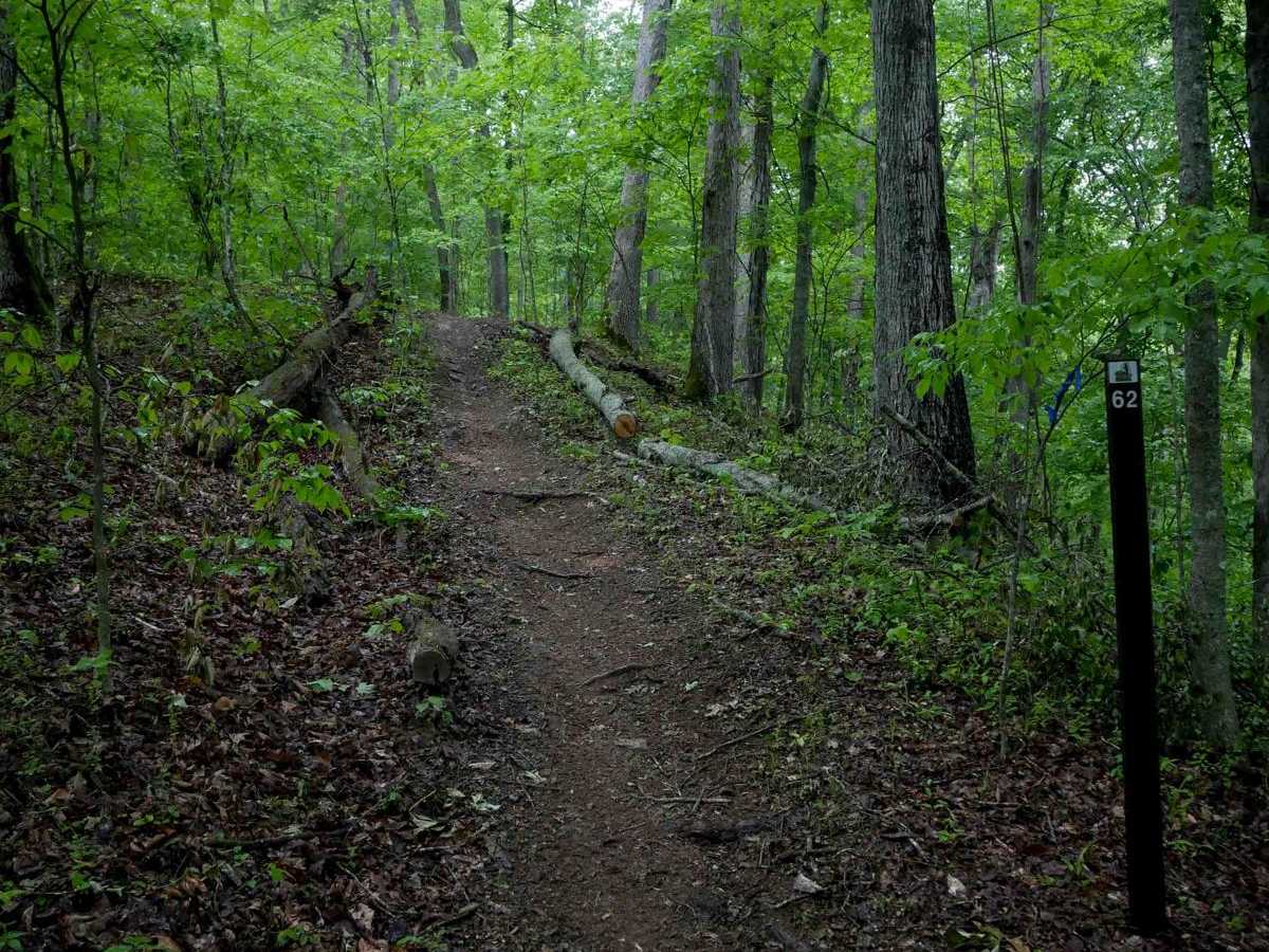 T62 trail photo