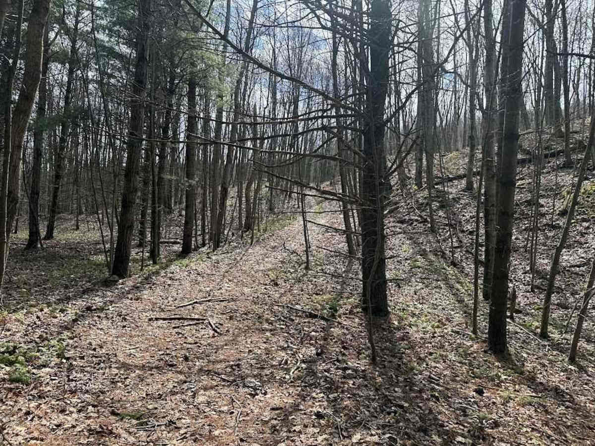Ashland 113 photo 2