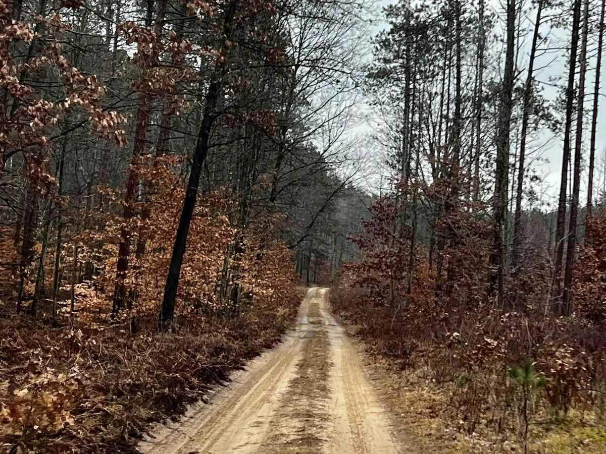 Minnie Lake Trail (NFS 9580) photo 5