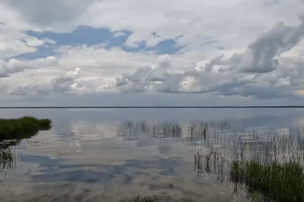 Pocosin Lakes National Wildlife Refuge