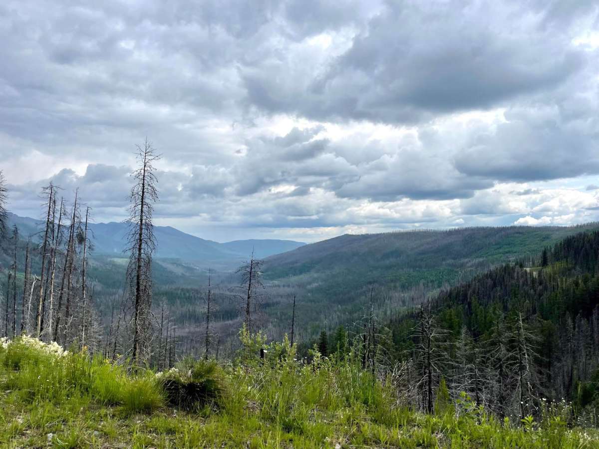 Morrell Clearwater trail photo