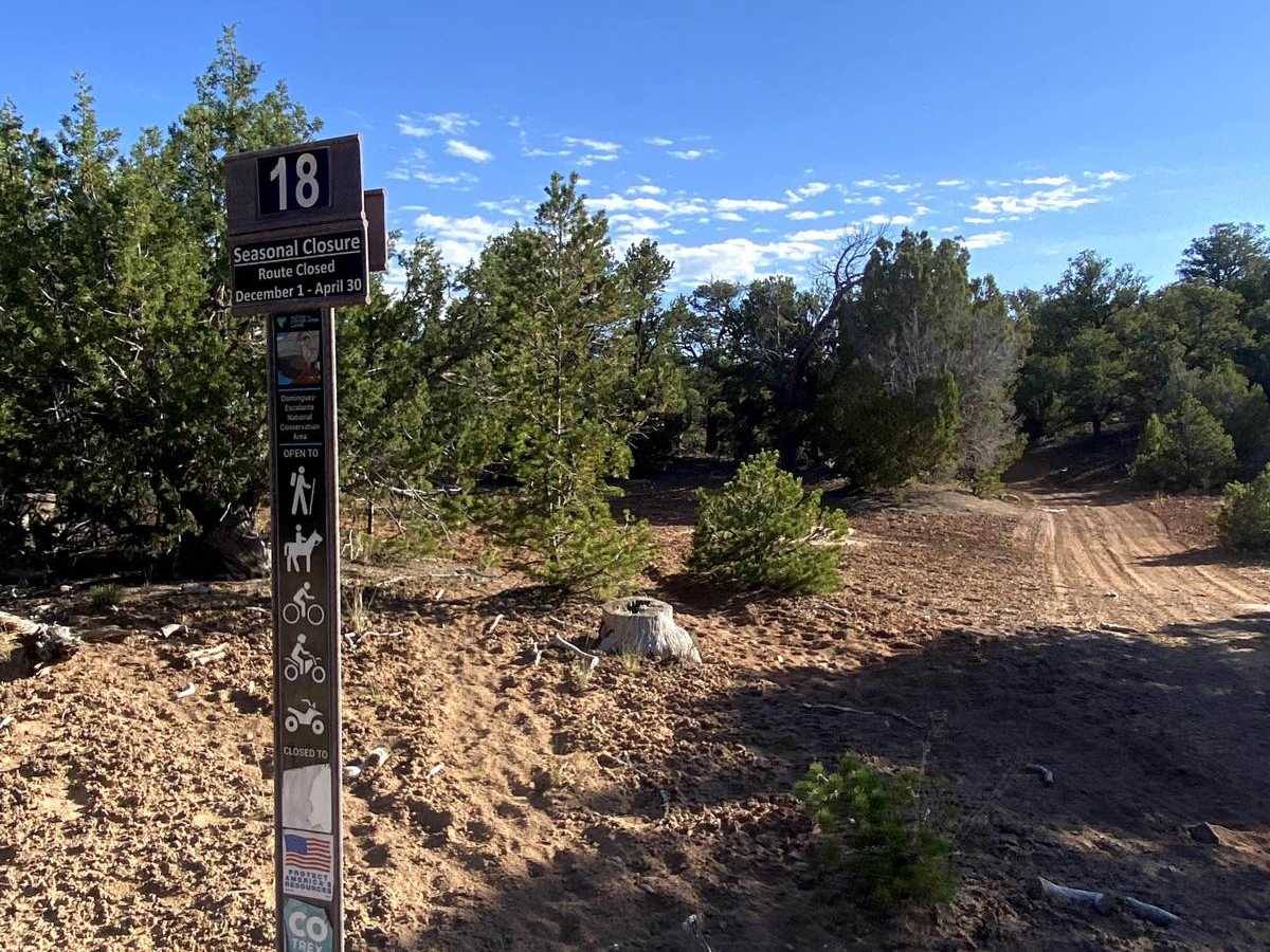 BLM Route 018 trail photo