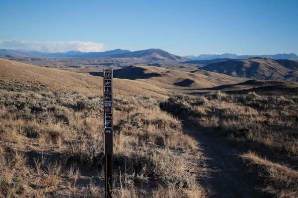 Wolford Hills