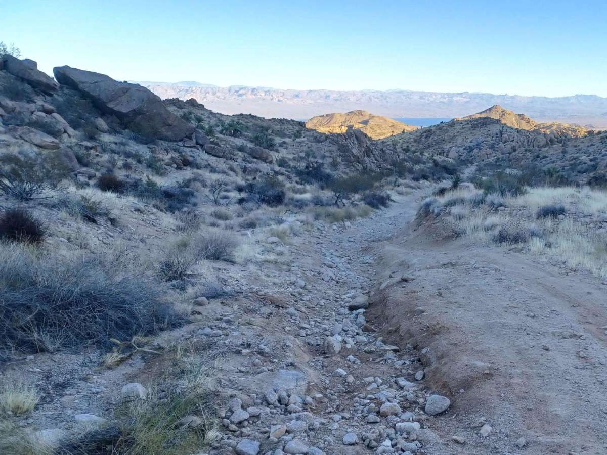 Mead Davis Power Road photo 3