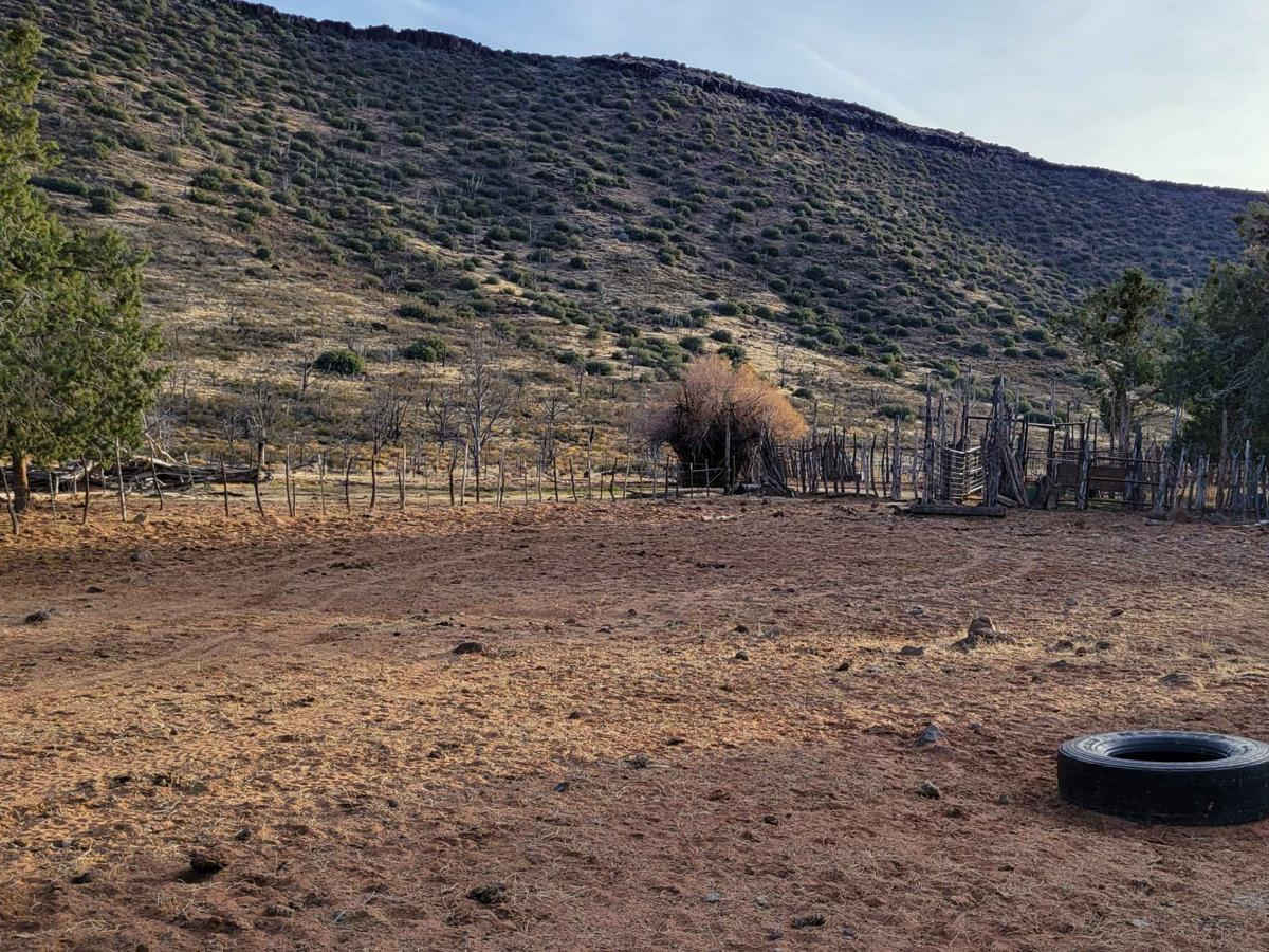 BLM 1606 photo 3