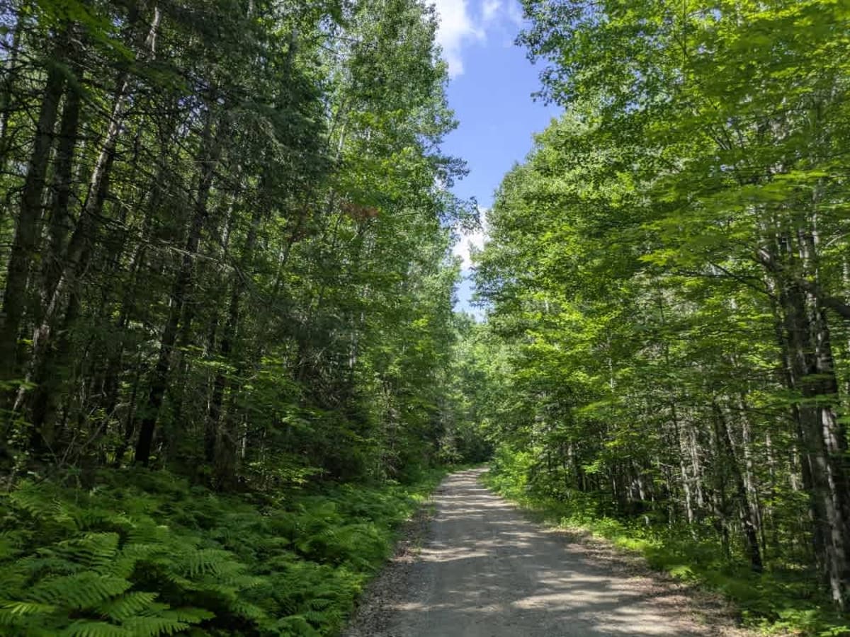2373 trail photo