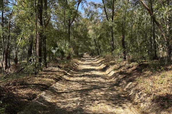 Black Water Creek - ONF 61